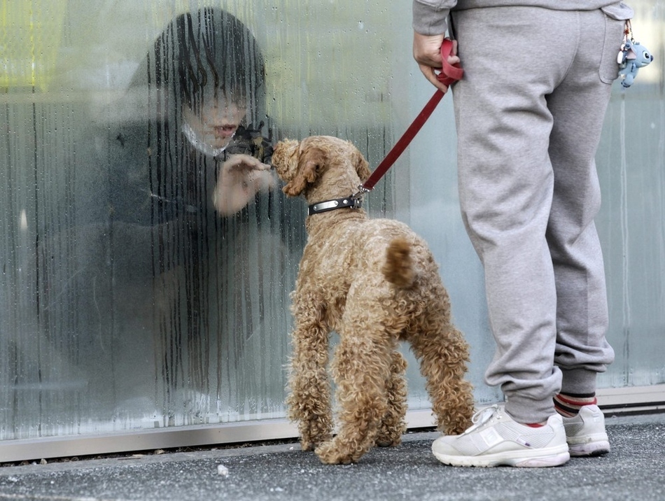 Κορίτσι στην Ιαπωνία, σε απομόνωση για έλεγχο ραδιενεργούς ακτινοβολίας, κοιτάζει τον σκύλο της.