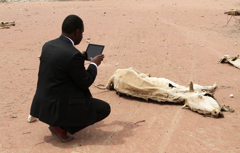 Εργαζόμενος πρώτων βοηθειών, χρησιμοποιώντας ένα iPad φωτογραφίζει το πτώμα μιας αγελάδας κοντά στην Κένυα.