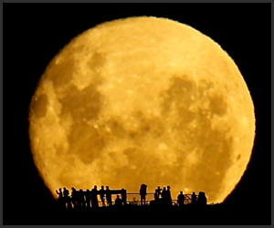 full_moon_silhouettes_t