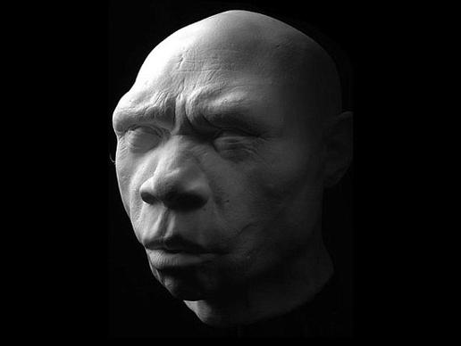 Homo heidelbergensis: Ανακαλύφθηκε στην Ισπανία, το 1993. Πιστεύεται ότι είναι πρόγονος του Νεάντερταλ. Έζησε περίπου 500.000 έως 350.000 χρόνια πριν. Απολιθώματα αυτού του είδους έχουν βρεθεί στην Ιταλία, τη Γαλλία και την Ελλάδα.