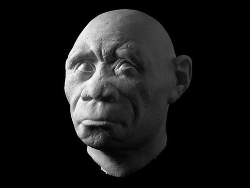 Homo floresiensis: Το κρανίο και το σαγόνι του θηλυκού "hobbit" βρέθηκε στην Ινδονησία, το 2003. Ήταν περίπου 1 μέτρο ύψος  και έζησε περίπου πριν 18.000 χρόνια. Η ανακάλυψη του Homo floresiensis, έθεσε σε αμφισβήτηση την πεποίθηση ότι ο Homo sapiens ήταν η μόνη μορφή ανθρώπου  τα τελευταία 30.000 χρόνια.