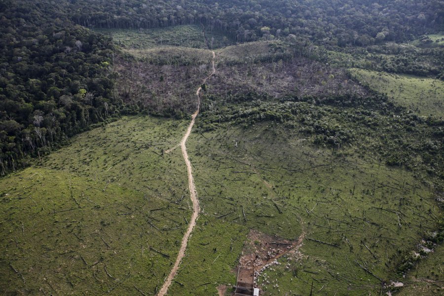 Αεροφωτογραφία δείχνει τα αποτελέσματα της παράνομης αποψίλωσης των δασών στη Βραζιλία.