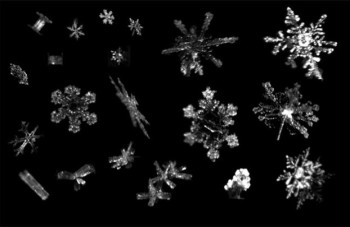 Χιονονιφάδες με μορφή απλού κρυστάλλου, που σχηματίζονται με απλή συμπύκνωση - και χωρίς συγκρούσεις - στον αέρα, όπως τις φωτογράφισε το σύστημα των ερευνητών του Πανεπιστημίου της Γιούτα ( Πηγή: Tim Garrett, University of Utah)