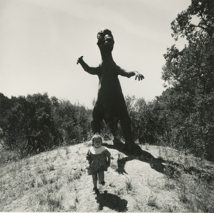 nightmare-photo-by-arthur-tress-dream-collector