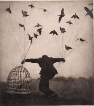 cage-crows-doves-flying-flying-man-favim-com-163505