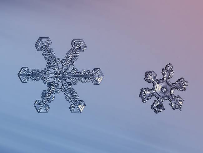 snowflakes12